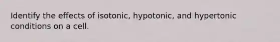 Identify the effects of isotonic, hypotonic, and hypertonic conditions on a cell.