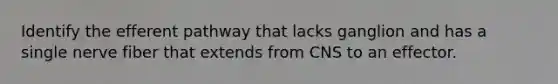 Identify the efferent pathway that lacks ganglion and has a single nerve fiber that extends from CNS to an effector.
