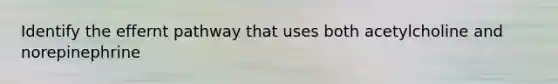 Identify the effernt pathway that uses both acetylcholine and norepinephrine