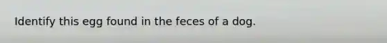 Identify this egg found in the feces of a dog.