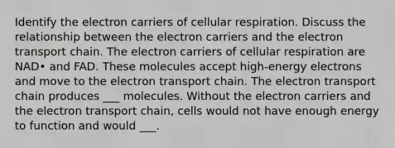 Identify the electron carriers of <a href='https://www.questionai.com/knowledge/k1IqNYBAJw-cellular-respiration' class='anchor-knowledge'>cellular respiration</a>. Discuss the relationship between the electron carriers and <a href='https://www.questionai.com/knowledge/k57oGBr0HP-the-electron-transport-chain' class='anchor-knowledge'>the electron transport chain</a>. The electron carriers of cellular respiration are NAD• and FAD. These molecules accept high-energy electrons and move to the electron transport chain. The electron transport chain produces ___ molecules. Without the electron carriers and the electron transport chain, cells would not have enough energy to function and would ___.