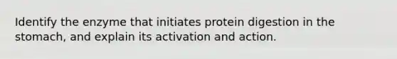 Identify the enzyme that initiates protein digestion in <a href='https://www.questionai.com/knowledge/kLccSGjkt8-the-stomach' class='anchor-knowledge'>the stomach</a>, and explain its activation and action.