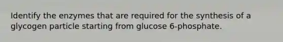 Identify the enzymes that are required for the synthesis of a glycogen particle starting from glucose 6-phosphate.