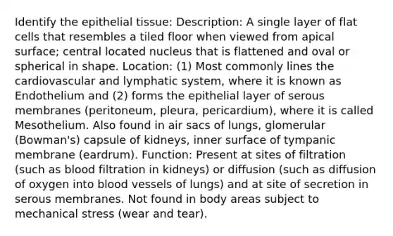 Identify the epithelial tissue: Description: A single layer of flat cells that resembles a tiled floor when viewed from apical surface; central located nucleus that is flattened and oval or spherical in shape. Location: (1) Most commonly lines the cardiovascular and lymphatic system, where it is known as Endothelium and (2) forms the epithelial layer of serous membranes (peritoneum, pleura, pericardium), where it is called Mesothelium. Also found in air sacs of lungs, glomerular (Bowman's) capsule of kidneys, inner surface of tympanic membrane (eardrum). Function: Present at sites of filtration (such as blood filtration in kidneys) or diffusion (such as diffusion of oxygen into blood vessels of lungs) and at site of secretion in serous membranes. Not found in body areas subject to mechanical stress (wear and tear).