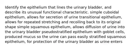 Identify the epithelium that lines the urinary bladder, and describe its unusual functional characteristic. simple cuboidal epithelium, allows for secretion of urine transitional epithelium, allows for repeated stretching and recoiling back to its original shape simple squamous epithelium, allows diffusion of urine into the urinary bladder pseudostratified epithelium with goblet cells, produced mucus so the urine can pass easily stratified squamous epithelium, for protection of the urinary bladder as urine enters