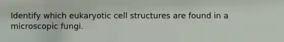 Identify which eukaryotic cell structures are found in a microscopic fungi.