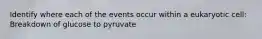 Identify where each of the events occur within a eukaryotic cell: Breakdown of glucose to pyruvate