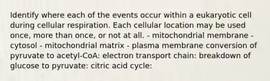 Identify where each of the events occur within a eukaryotic cell during cellular respiration. Each cellular location may be used once, more than once, or not at all. - mitochondrial membrane - cytosol - mitochondrial matrix - plasma membrane conversion of pyruvate to acetyl‑CoA: electron transport chain: breakdown of glucose to pyruvate: citric acid cycle: