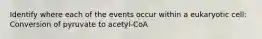 Identify where each of the events occur within a eukaryotic cell: Conversion of pyruvate to acetyl-CoA