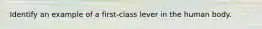 Identify an example of a first-class lever in the human body.