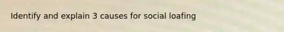 Identify and explain 3 causes for social loafing