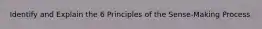 Identify and Explain the 6 Principles of the Sense-Making Process