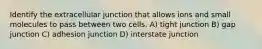 Identify the extracellular junction that allows ions and small molecules to pass between two cells. A) tight junction B) gap junction C) adhesion junction D) interstate junction