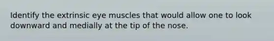 Identify the extrinsic eye muscles that would allow one to look downward and medially at the tip of the nose.