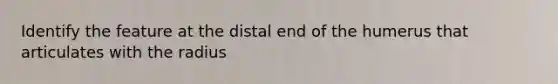 Identify the feature at the distal end of the humerus that articulates with the radius