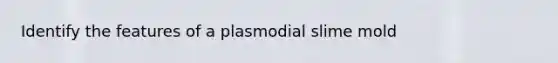 Identify the features of a plasmodial slime mold