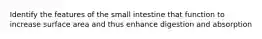 Identify the features of the small intestine that function to increase surface area and thus enhance digestion and absorption
