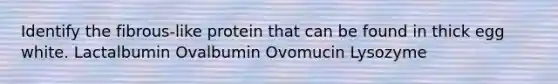 Identify the fibrous-like protein that can be found in thick egg white. Lactalbumin Ovalbumin Ovomucin Lysozyme