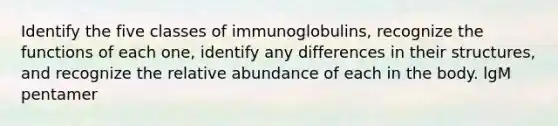 Identify the five classes of immunoglobulins, recognize the functions of each one, identify any differences in their structures, and recognize the relative abundance of each in the body. lgM pentamer