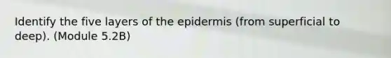 Identify the five layers of the epidermis (from superficial to deep). (Module 5.2B)