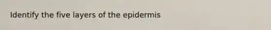 Identify the five layers of <a href='https://www.questionai.com/knowledge/kBFgQMpq6s-the-epidermis' class='anchor-knowledge'>the epidermis</a>