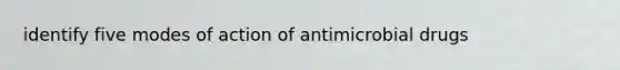 identify five modes of action of antimicrobial drugs