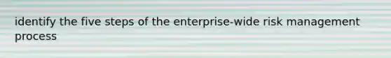 identify the five steps of the enterprise-wide risk management process