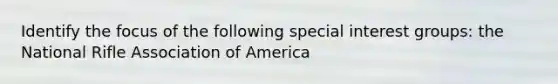 Identify the focus of the following special interest groups: the National Rifle Association of America