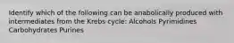 Identify which of the following can be anabolically produced with intermediates from the Krebs cycle: Alcohols Pyrimidines Carbohydrates Purines