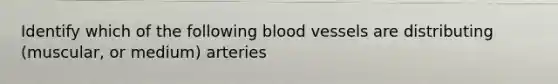 Identify which of the following blood vessels are distributing (muscular, or medium) arteries