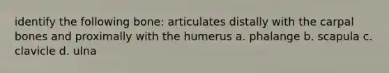 identify the following bone: articulates distally with the carpal bones and proximally with the humerus a. phalange b. scapula c. clavicle d. ulna