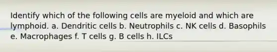 Identify which of the following cells are myeloid and which are lymphoid. a. Dendritic cells b. Neutrophils c. NK cells d. Basophils e. Macrophages f. T cells g. B cells h. ILCs