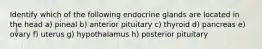 Identify which of the following endocrine glands are located in the head a) pineal b) anterior pituitary c) thyroid d) pancreas e) ovary f) uterus g) hypothalamus h) posterior pituitary