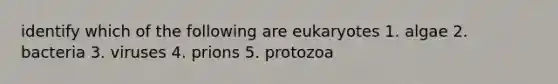 identify which of the following are eukaryotes 1. algae 2. bacteria 3. viruses 4. prions 5. protozoa