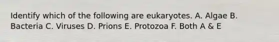 Identify which of the following are eukaryotes. A. Algae B. Bacteria C. Viruses D. Prions E. Protozoa F. Both A & E