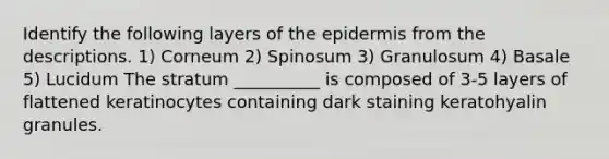 Identify the following layers of the epidermis from the descriptions. 1) Corneum 2) Spinosum 3) Granulosum 4) Basale 5) Lucidum The stratum __________ is composed of 3-5 layers of flattened keratinocytes containing dark staining keratohyalin granules.