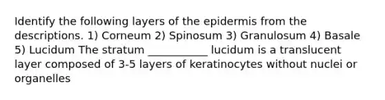 Identify the following layers of the epidermis from the descriptions. 1) Corneum 2) Spinosum 3) Granulosum 4) Basale 5) Lucidum The stratum ___________ lucidum is a translucent layer composed of 3-5 layers of keratinocytes without nuclei or organelles