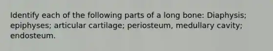 Identify each of the following parts of a long bone: Diaphysis; epiphyses; articular cartilage; periosteum, medullary cavity; endosteum.