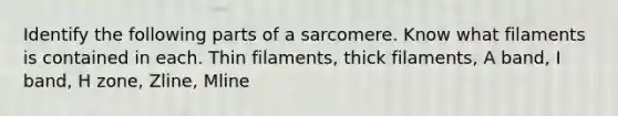 Identify the following parts of a sarcomere. Know what filaments is contained in each. Thin filaments, thick filaments, A band, I band, H zone, Zline, Mline