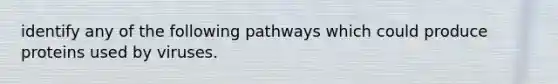 identify any of the following pathways which could produce proteins used by viruses.