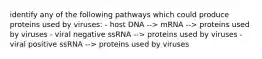 identify any of the following pathways which could produce proteins used by viruses: - host DNA --> mRNA --> proteins used by viruses - viral negative ssRNA --> proteins used by viruses - viral positive ssRNA --> proteins used by viruses