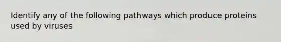 Identify any of the following pathways which produce proteins used by viruses