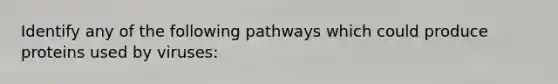 Identify any of the following pathways which could produce proteins used by viruses: