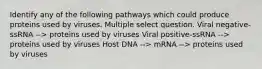 Identify any of the following pathways which could produce proteins used by viruses. Multiple select question. Viral negative-ssRNA --> proteins used by viruses Viral positive-ssRNA --> proteins used by viruses Host DNA --> mRNA --> proteins used by viruses