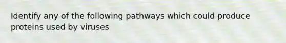 Identify any of the following pathways which could produce proteins used by viruses