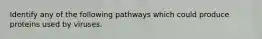 Identify any of the following pathways which could produce proteins used by viruses.