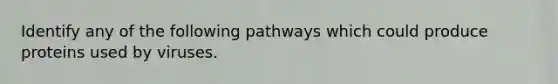 Identify any of the following pathways which could produce proteins used by viruses.