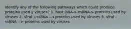 Identify any of the following pathways which could produce proteins used y viruses? 1. host DNA-> mRNA-> proteins used by viruses 2. Viral +ssRNA -->proteins used by viruses 3. Viral -ssRNA --> proteins used by viruses