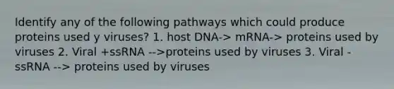 Identify any of the following pathways which could produce proteins used y viruses? 1. host DNA-> mRNA-> proteins used by viruses 2. Viral +ssRNA -->proteins used by viruses 3. Viral -ssRNA --> proteins used by viruses