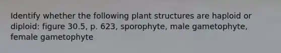 Identify whether the following plant structures are haploid or diploid: figure 30.5, p. 623, sporophyte, male gametophyte, female gametophyte